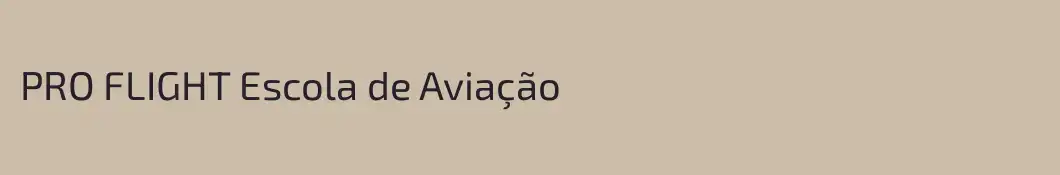 PRO FLIGHT Escola de Aviação